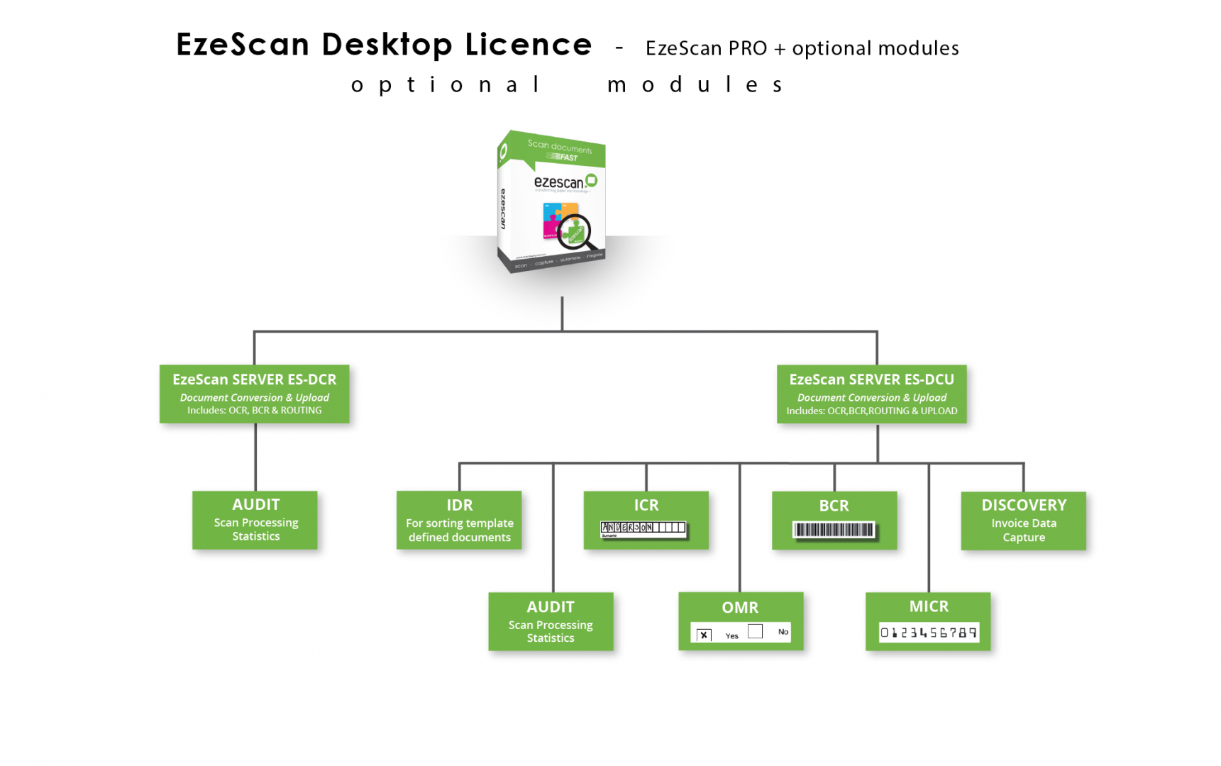 Server Module Diagram for Website-01_1.png